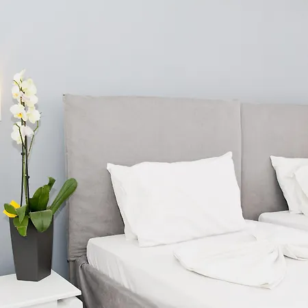 Hotel Klelia By Zante Plaza 4*